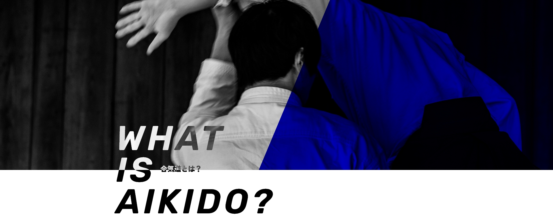 WHAT IS AIKIDO? 合気道とは？