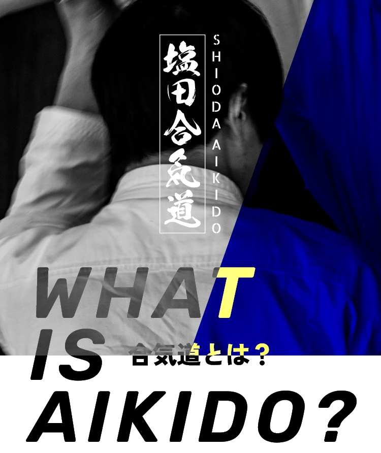 WHAT IS AIKIDO? 合気道とは？